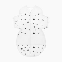 Thumbnail of Ivory Planets With White Wings