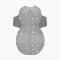 Thumbnail of Graphite Planets