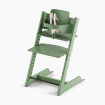 Thumbnail of Moss Green Chair/Moss Green Set