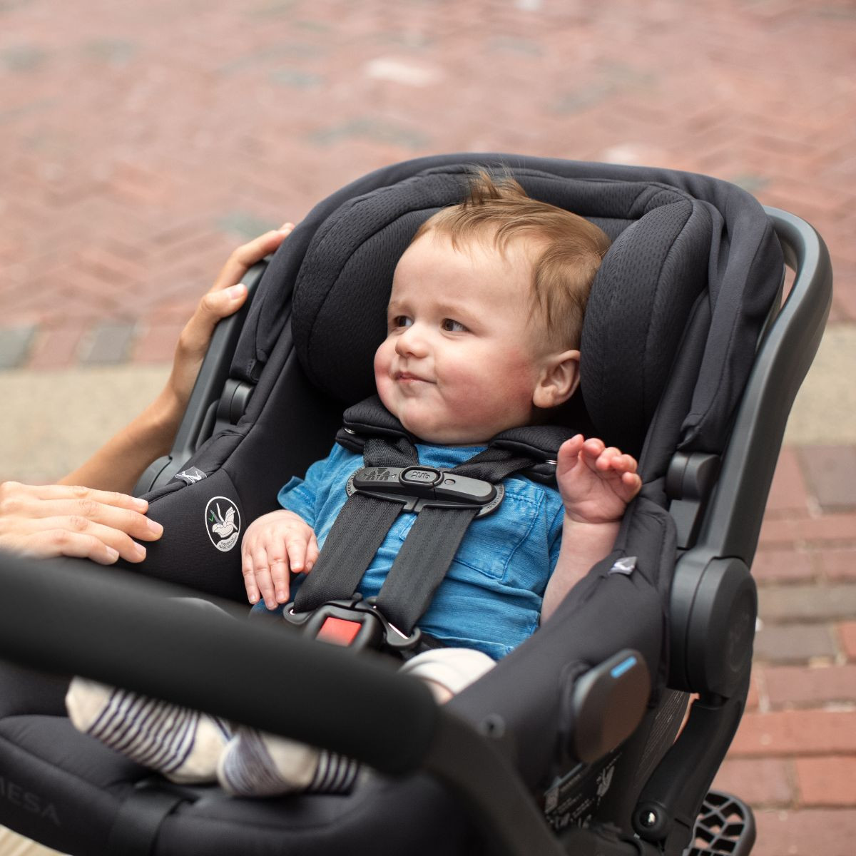 UPPAbaby Mesa V2 Infant Car Seat - Jake.