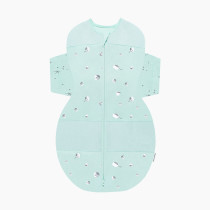 Thumbnail of Teal Planets