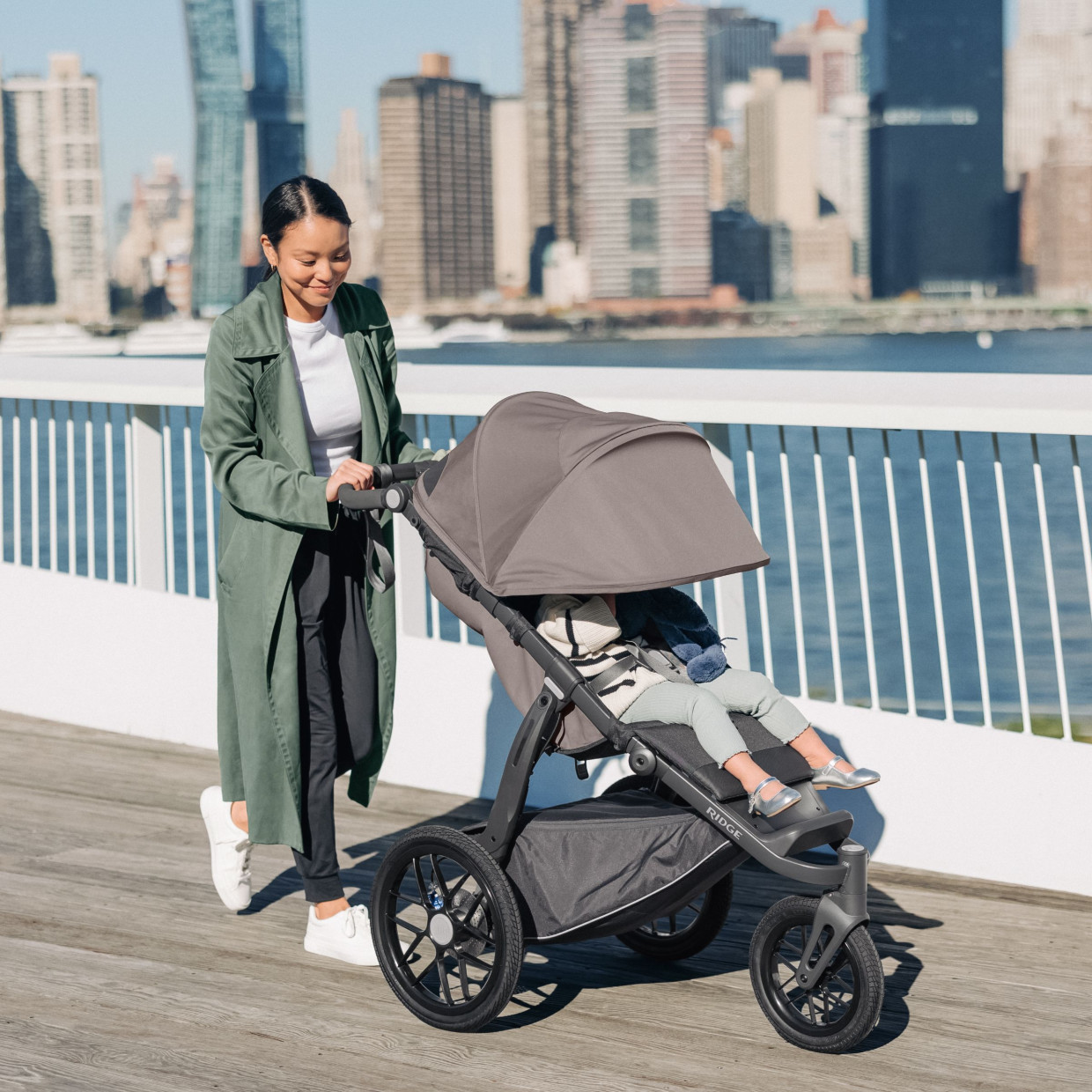 UPPAbaby RIDGE Jogging Stroller - Theo.