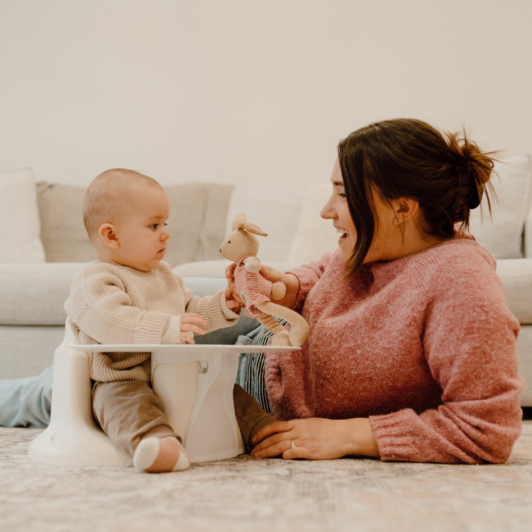 Infant Seats & Loungers.